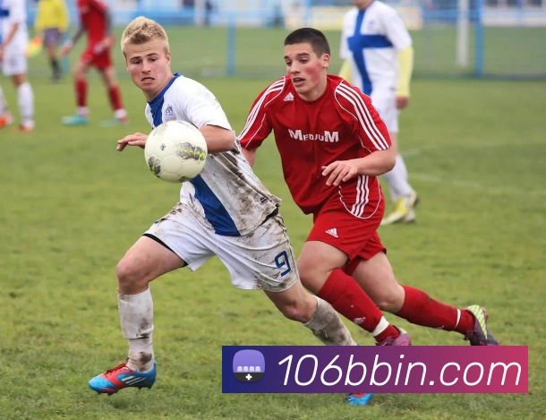 奖项图1